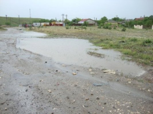 Ajutor umanitar de urgenţă pentru judeţul Constanţa, de la Guvern